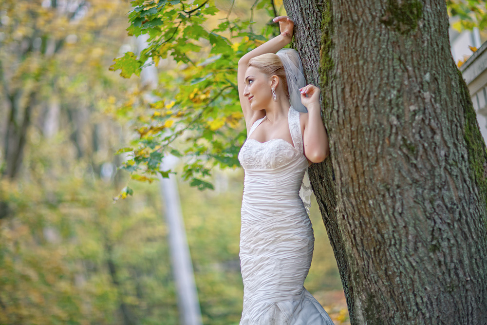 Невеста под деревом